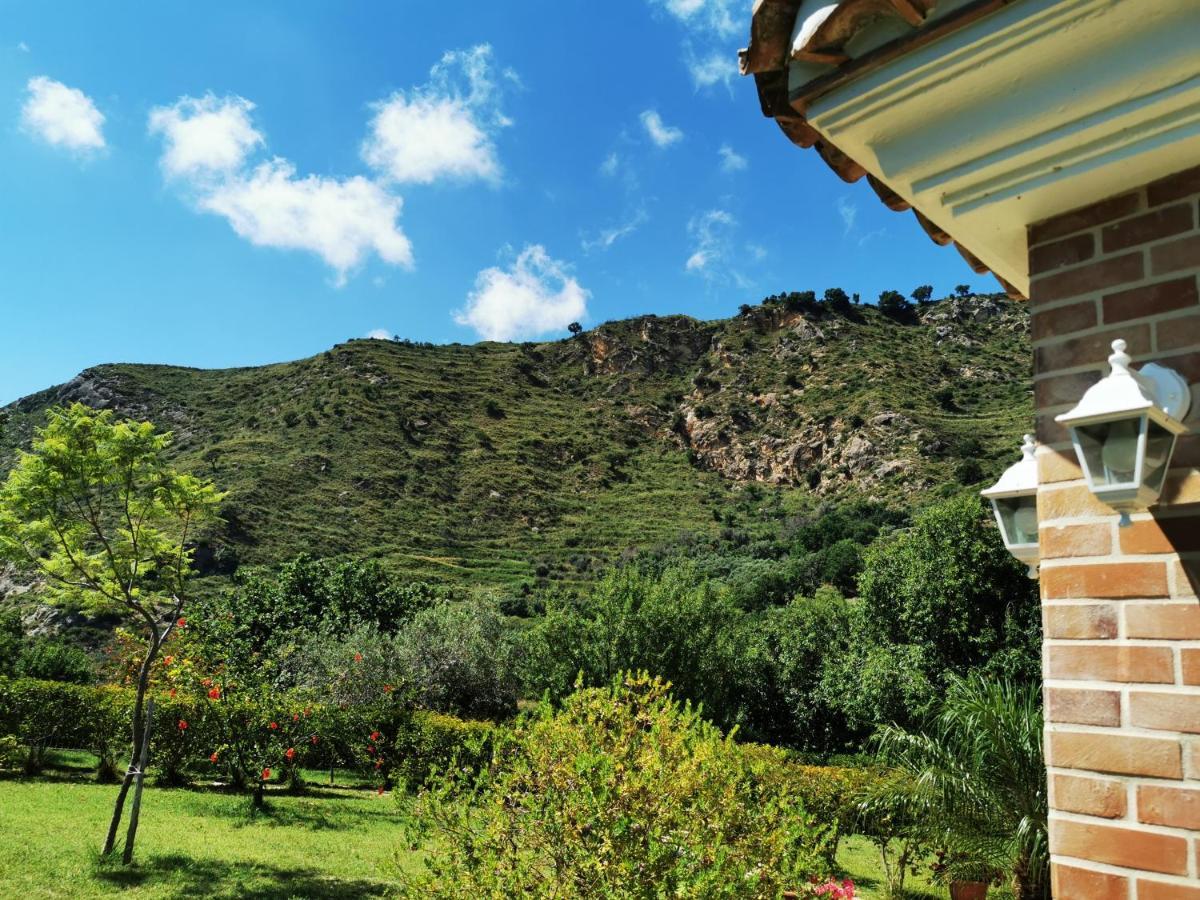 Villa Il Mandorlo Amantea Exterior foto