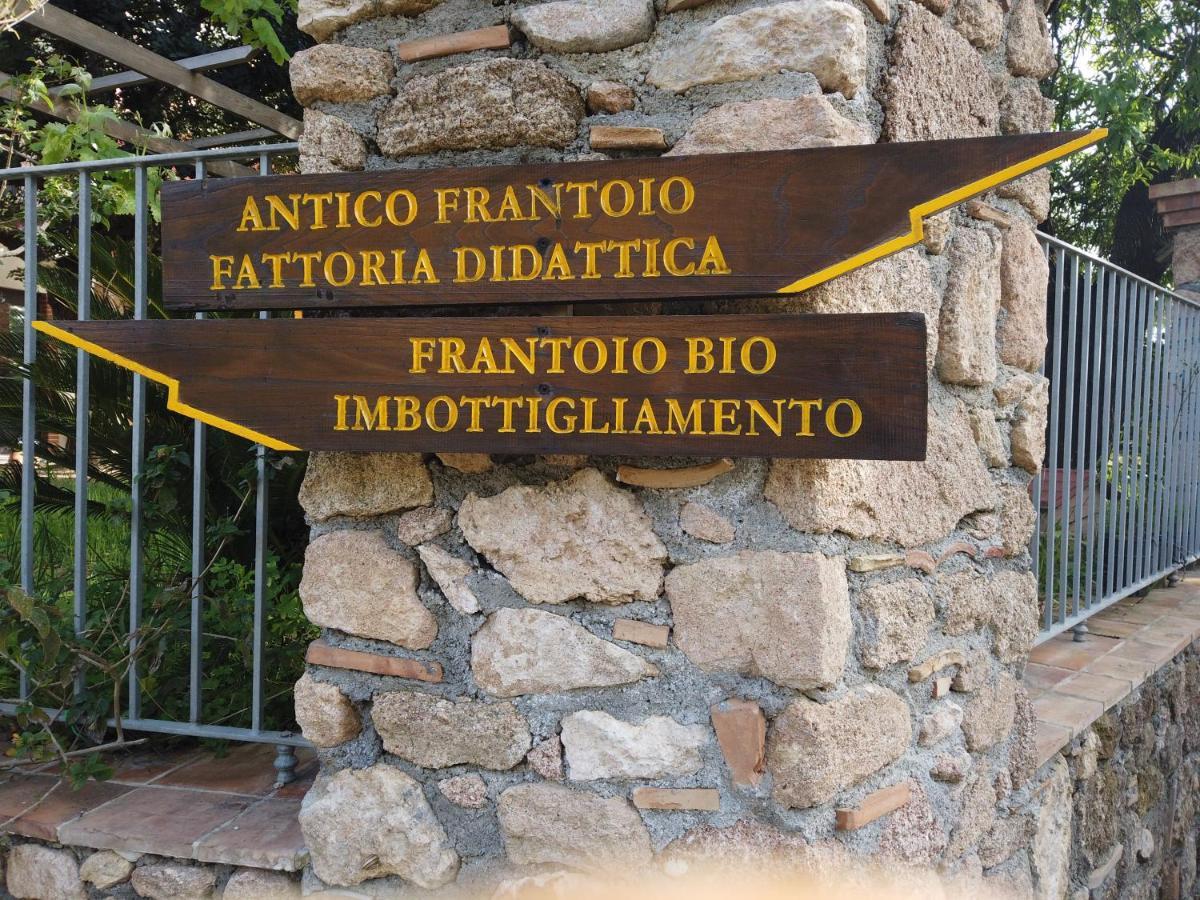 Villa Il Mandorlo Amantea Exterior foto
