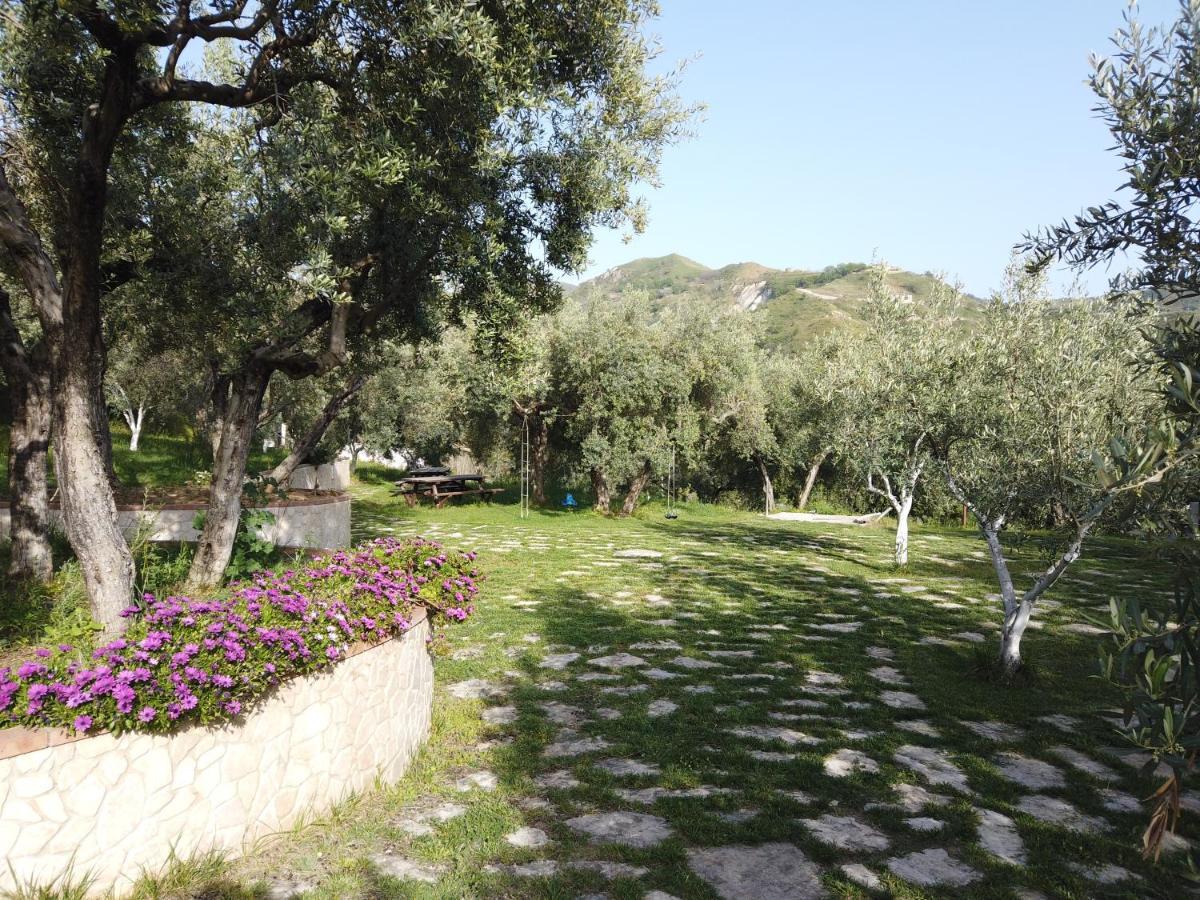 Villa Il Mandorlo Amantea Exterior foto
