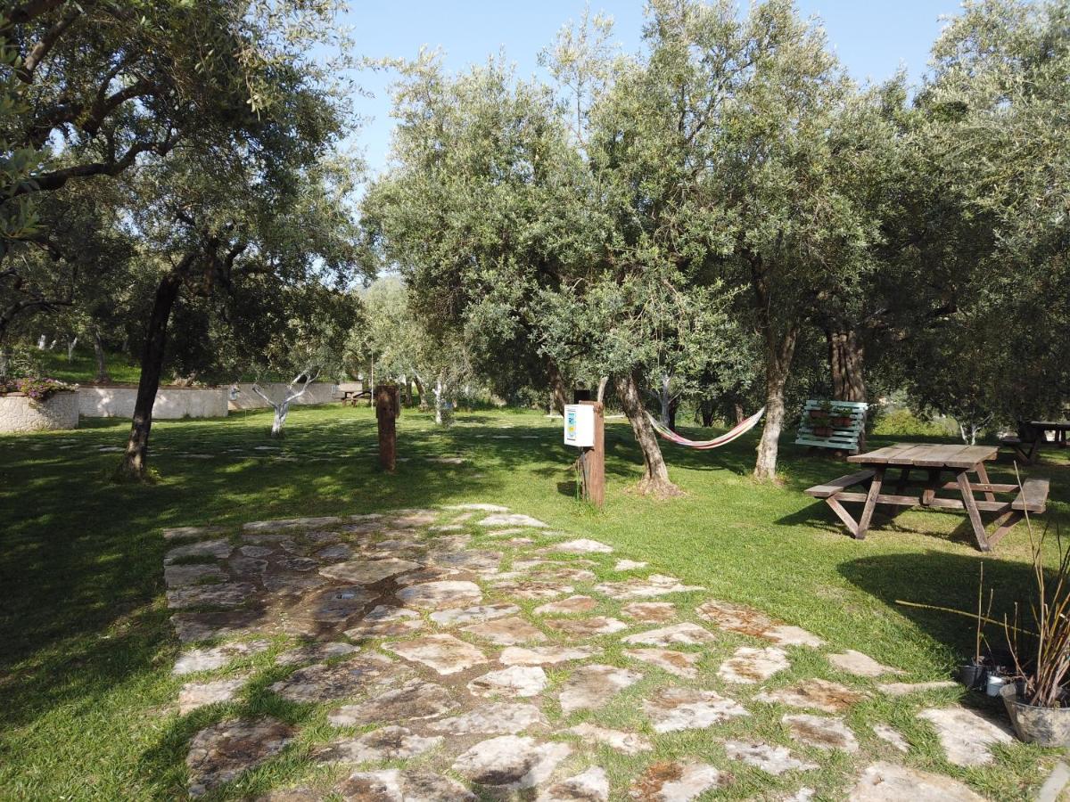 Villa Il Mandorlo Amantea Exterior foto