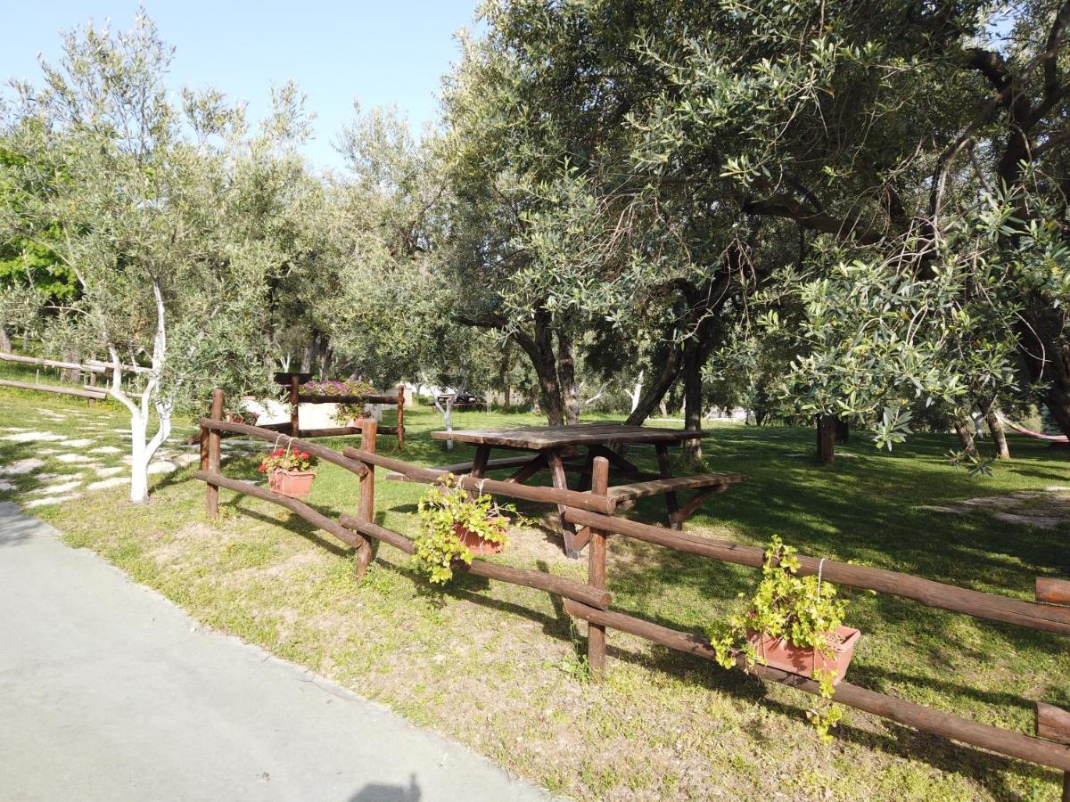 Villa Il Mandorlo Amantea Exterior foto