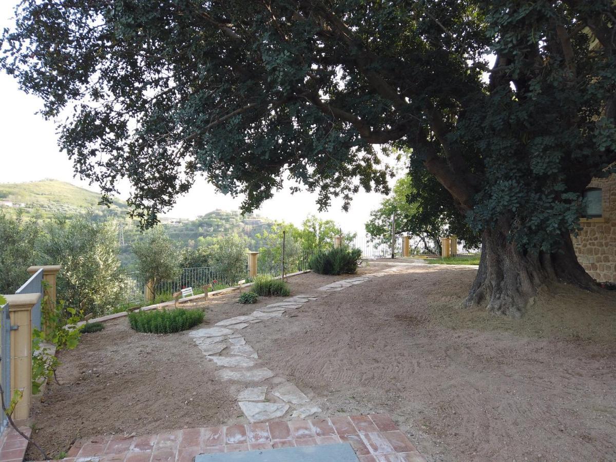 Villa Il Mandorlo Amantea Exterior foto