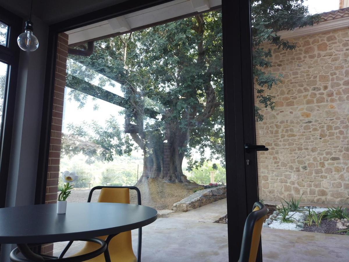 Villa Il Mandorlo Amantea Exterior foto