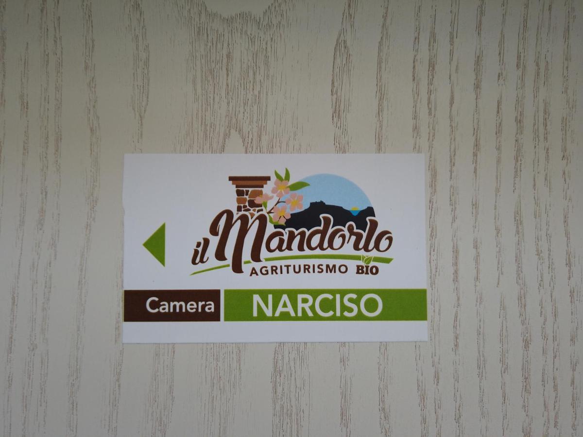 Villa Il Mandorlo Amantea Exterior foto