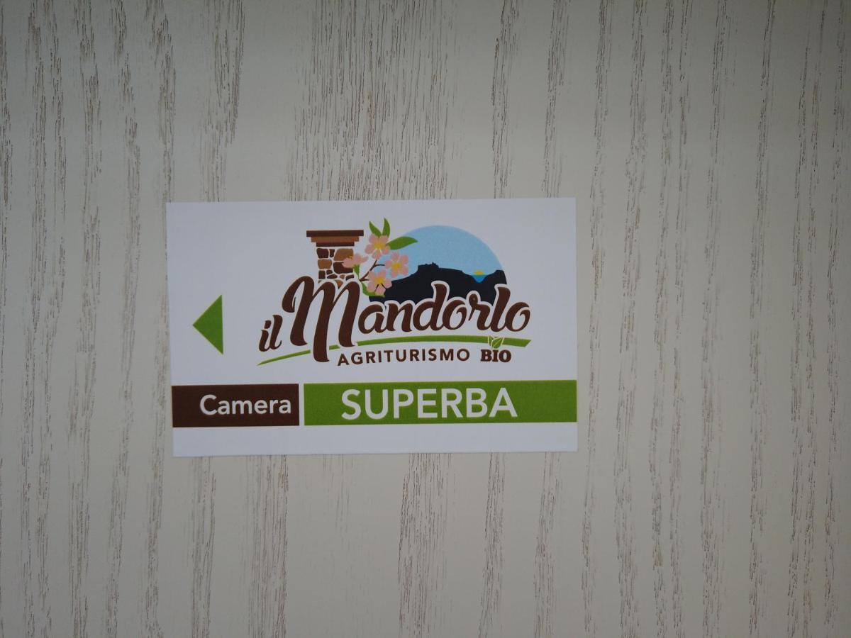 Villa Il Mandorlo Amantea Exterior foto